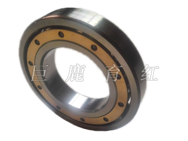 TR100 Bearing 29502027 TR100 Bearing 29502027
