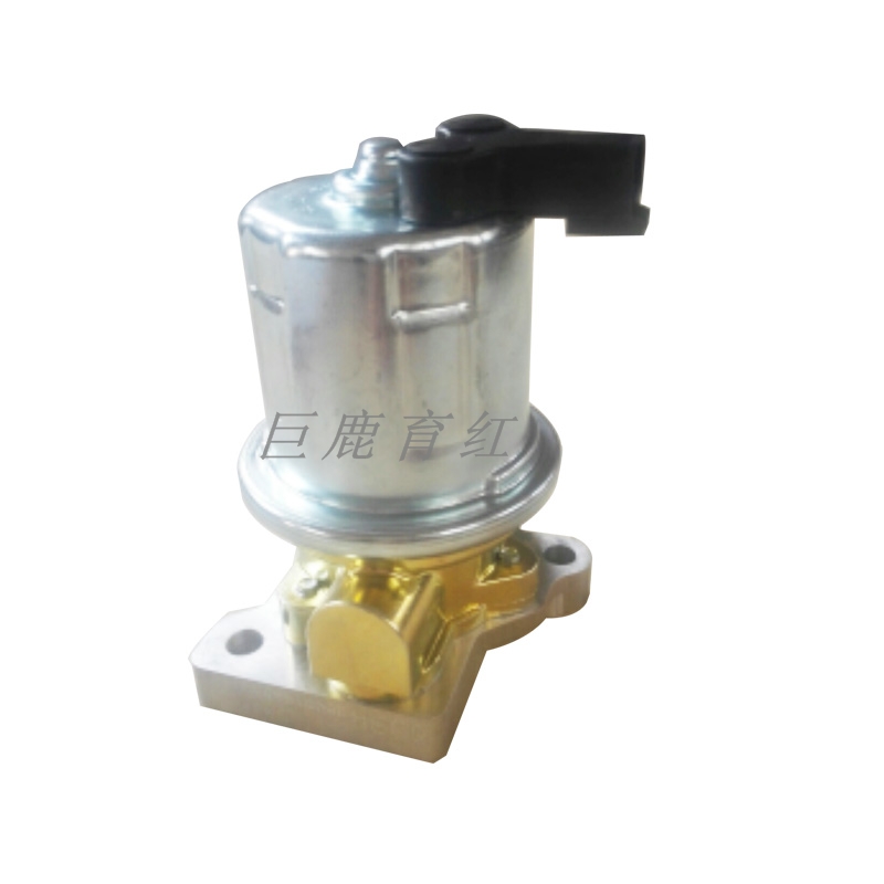 TR100 燃油泵4076581 TR100 燃油泵4076581