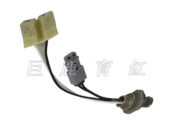 TR100 Locking valve wire harness 29536509 TR100 Locking valve wire harness 29536509