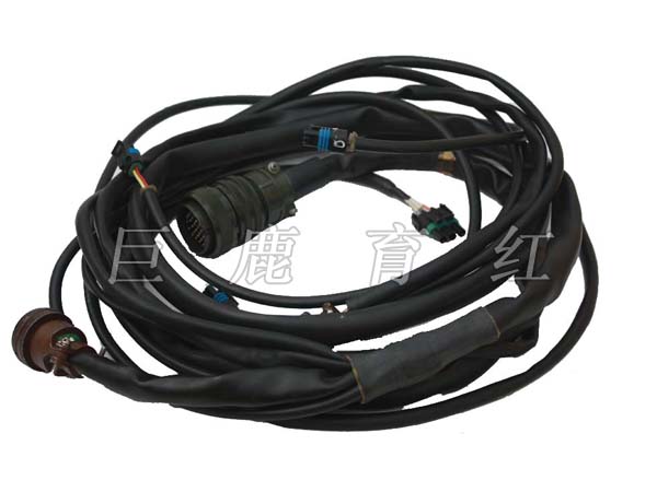 TR100 Extended wire harness 29537724 TR100 Extended wire harness 29537724